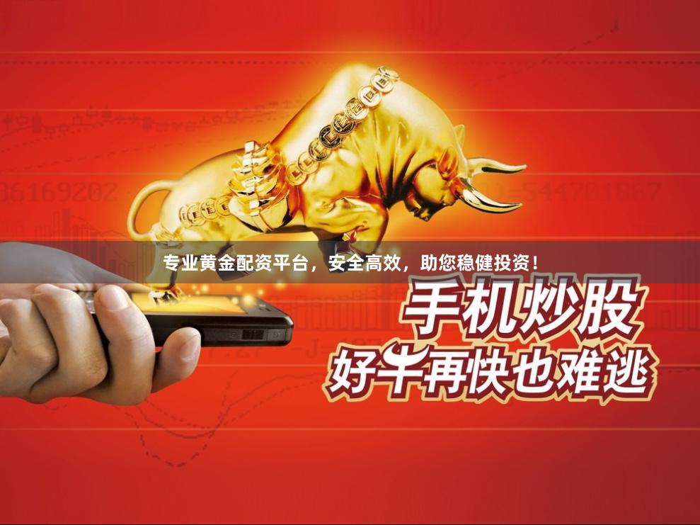专业黄金配资平台，安全高效，助您稳健投资！