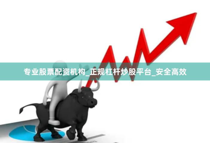 专业股票配资机构_正规杠杆炒股平台_安全高效
