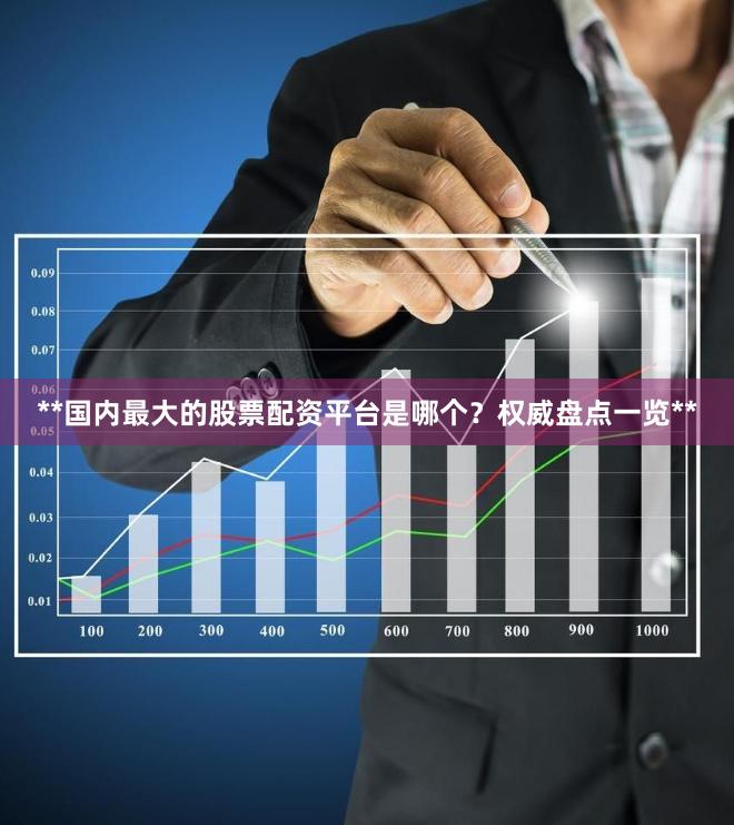 **国内最大的股票配资平台是哪个？权威盘点一览**