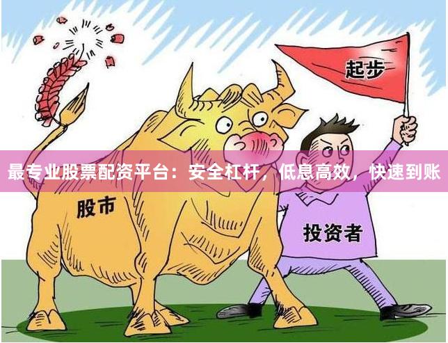 最专业股票配资平台：安全杠杆，低息高效，快速到账
