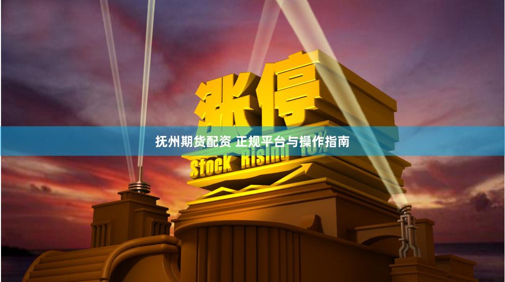 抚州期货配资 正规平台与操作指南